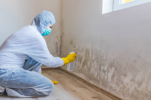 Crawl Space Mold Remediation treatment of floor joists in Rochelle Park